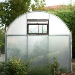 A small backyard greenhouse surrounded by lush greenery, ideal for agricultural pursuits.